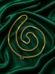 CC02